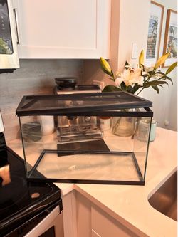 10 Gallon Tank with Lid
