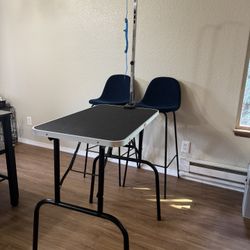 Grooming Table 
