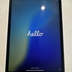 iPad Pro 11 Inch 256GB WIFI+ Cellular Unlocked 