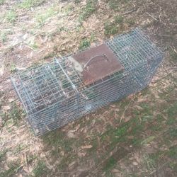 Trap  Steel Cage