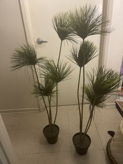 Artificial Plants 47 Inches Tall