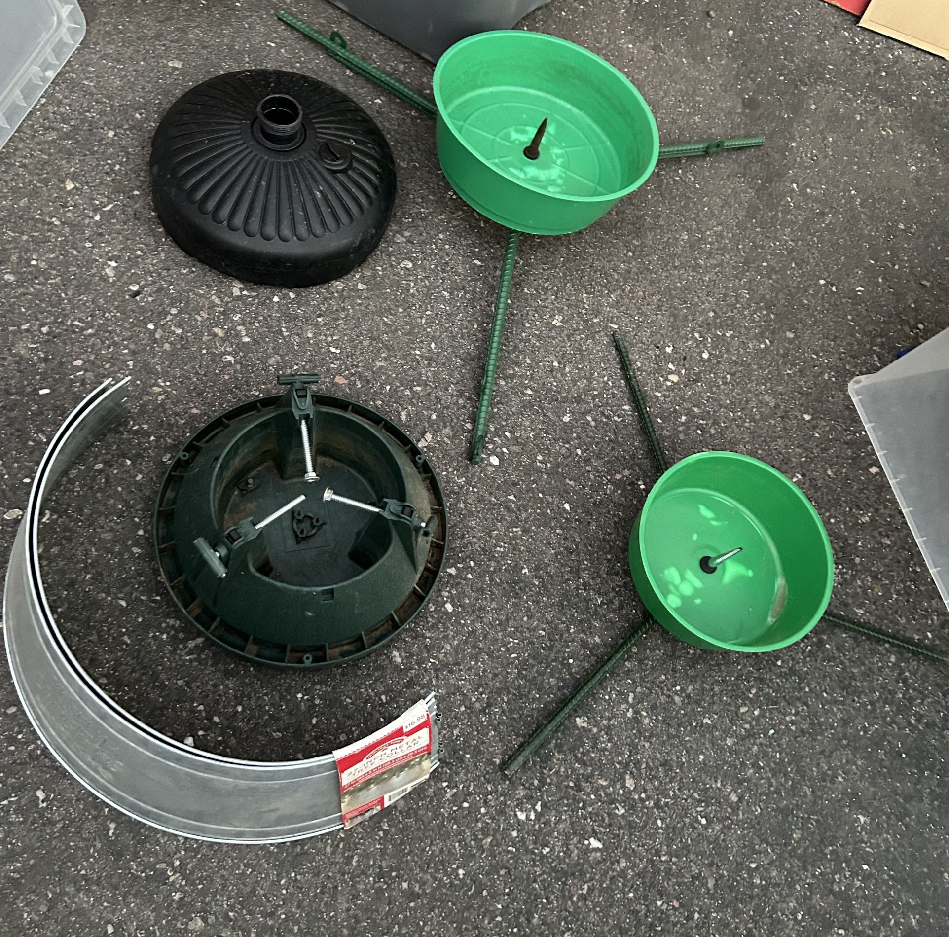 live christmas tree stands and surround 