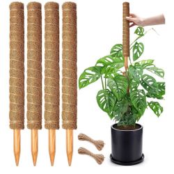 4pk Plant Climbing Stakes