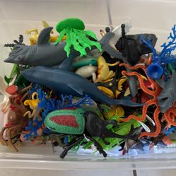 Bundle of Sea Animals & Insects 