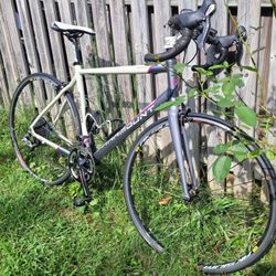 SCHWINN Paramount Series 6