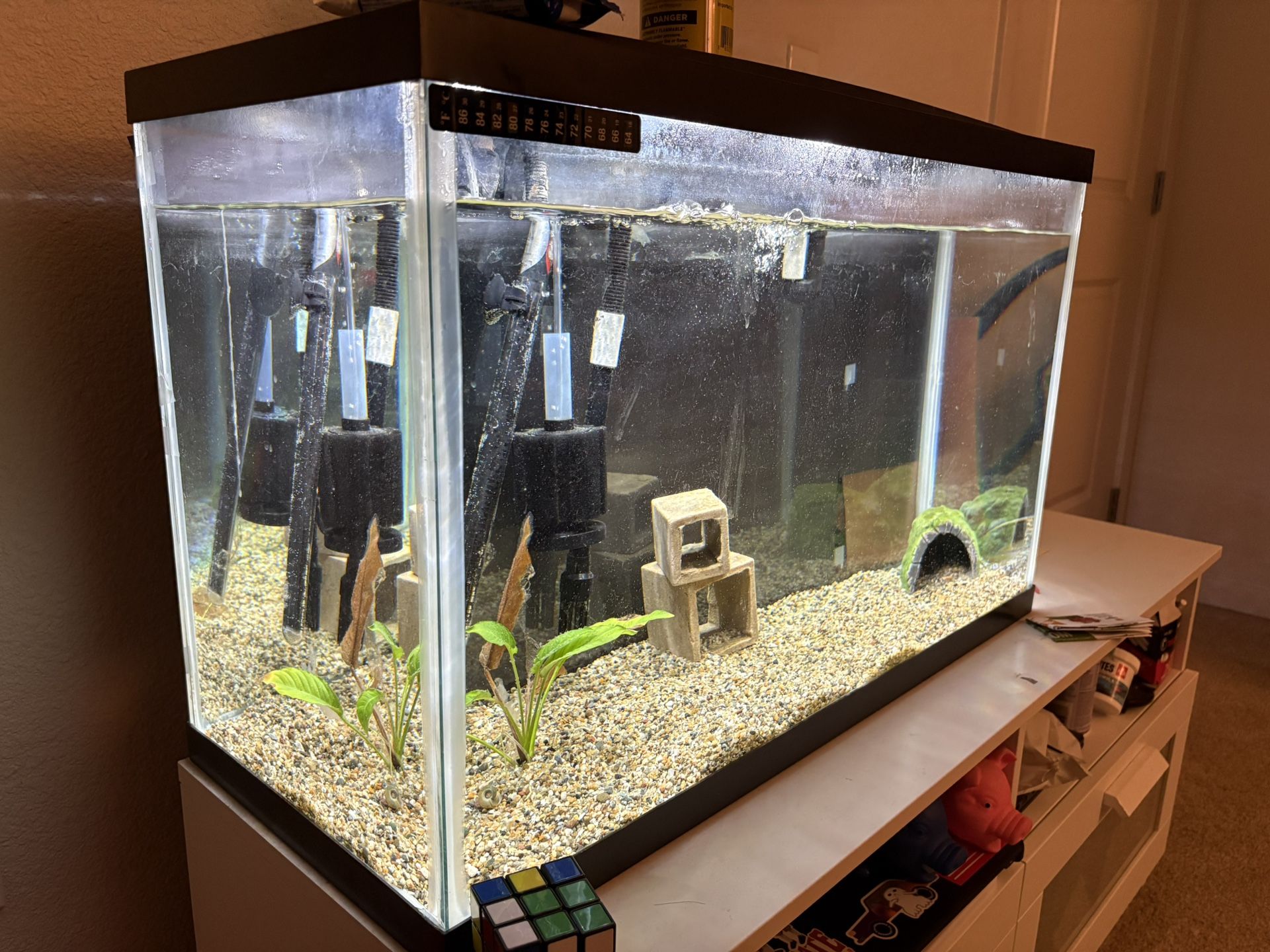 29 Gallon Aquarium