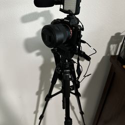 Sony 7Ri