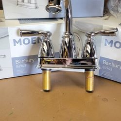 Moen Faucet