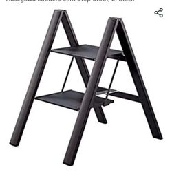 Hasegawa Ladders Slim 2 Step