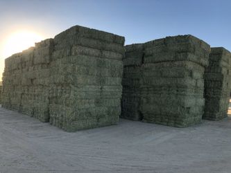 Hay for sale