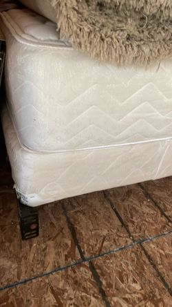 Extra long, twin golden mattress company box, Springs, mattress and frame