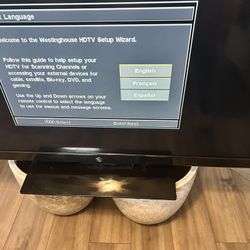 46 inch TV “It works”