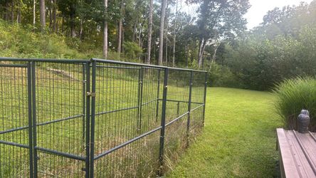 Dog run