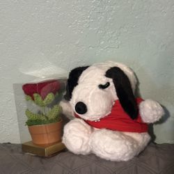 Flower and Snoopy Bundle