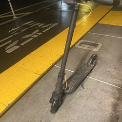 Hiboy Scooter For Sell
