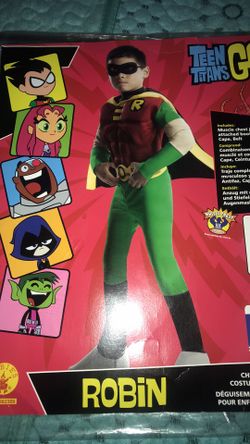 Robin costume