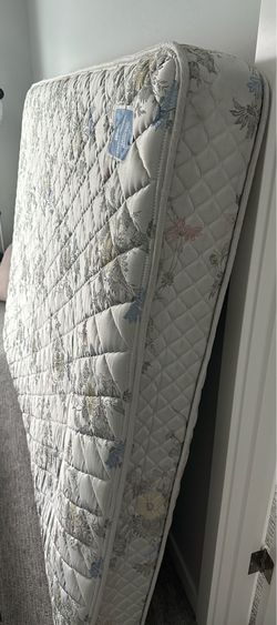 Queen size mattress and box - Free (Kent)