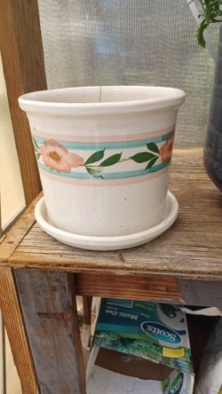 Planter. Plant not Inclued