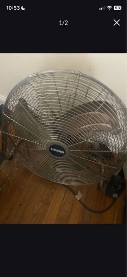 Fan