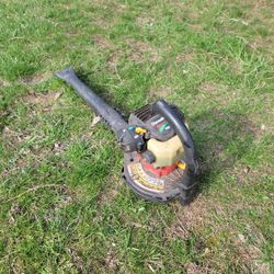 Leafblower