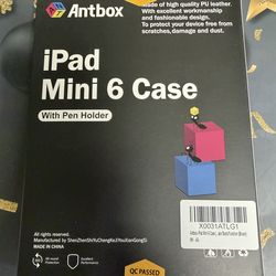 iPad mini 6 case leather