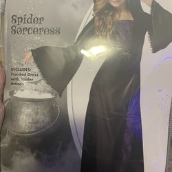 Spider Sorceress Halloween Costume
