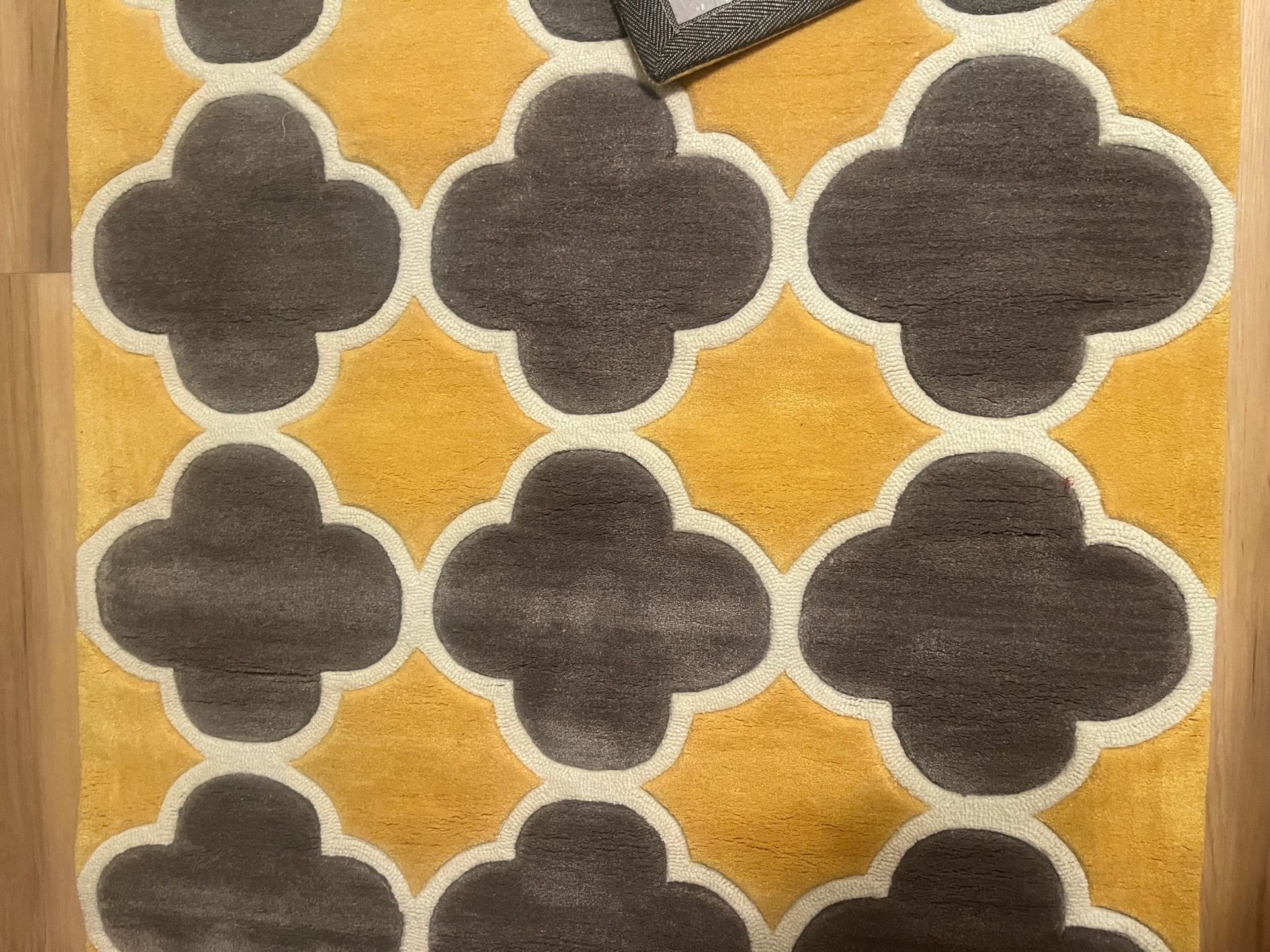 Brand New Area Rug - 3’6” x 5’6”