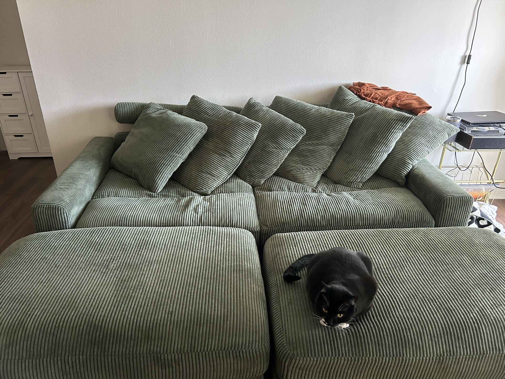 Sage Green Corduroy Couch