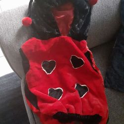 Lady bug costume size 2T