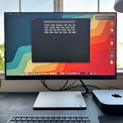 2 Lenovo Monitor 24”