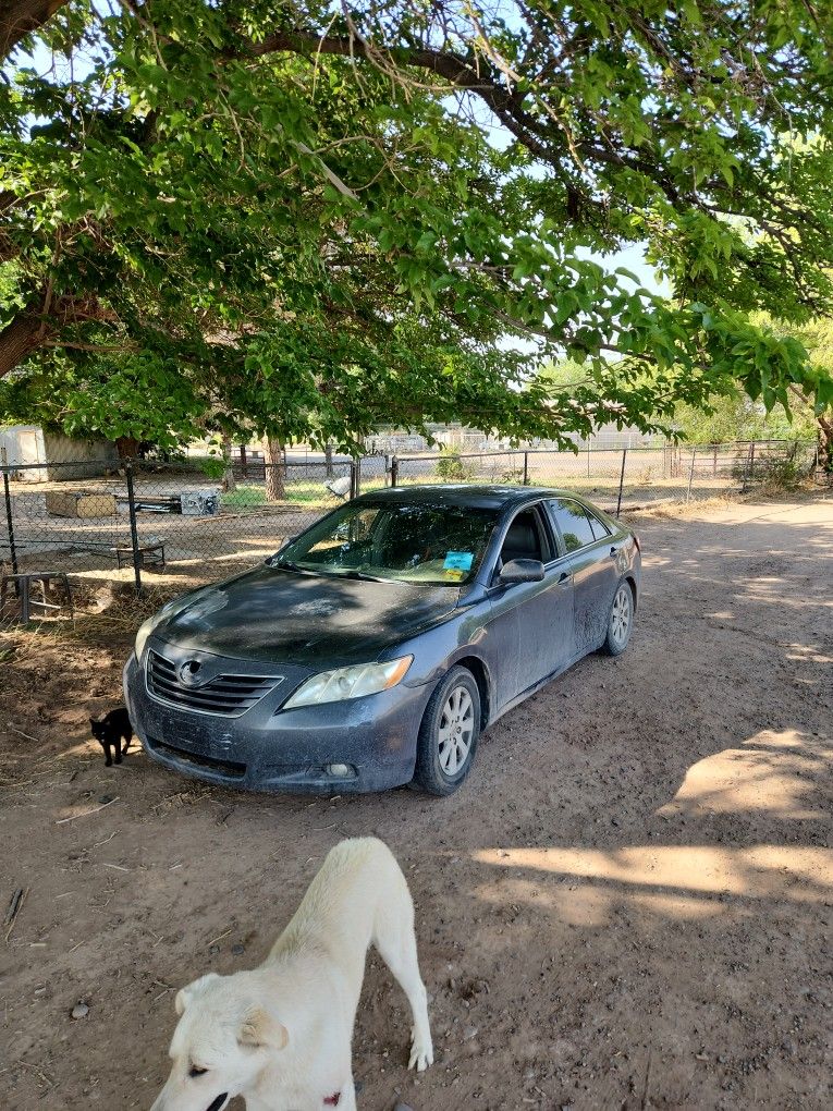 2009 Toyota Camry