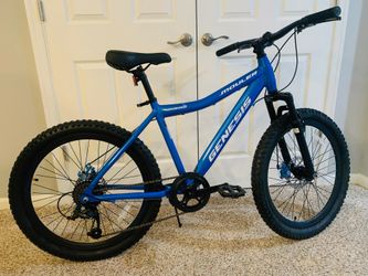 Genesis 24 sale mauler boy's bike