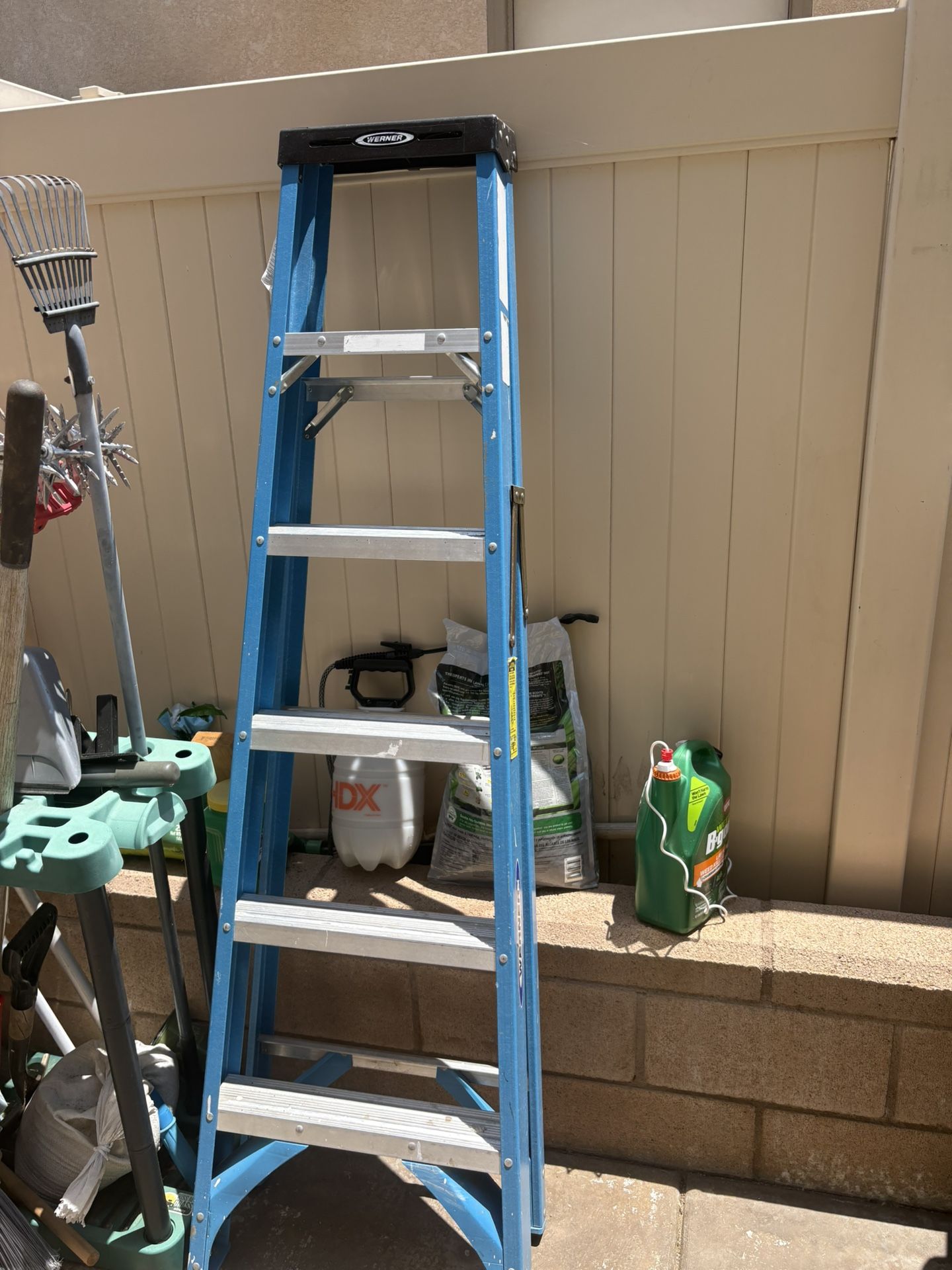 Werner 6ft Ladder Blue