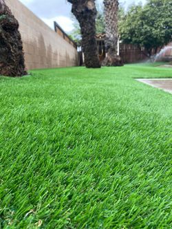 Artificial Grass