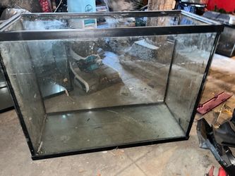 Fish tank
