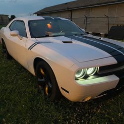 Dodge Challenger sxt plus