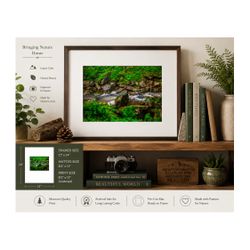 Brandywine Falls Stream Landscape Print – Cleveland Ohio Nature Photography – 8.5x11 inch Fine Art Print - Medium Home Decor