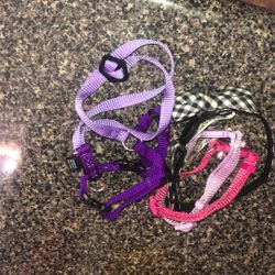 Cat Collars With Bells And A Body Harness