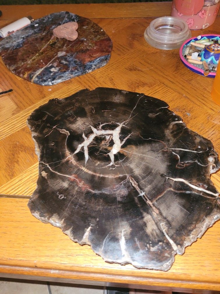 Petrified Wood Slab for Sale in Phoenix, AZ OfferUp