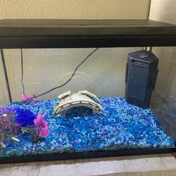 10 Gallon Aquarium Fish Tank