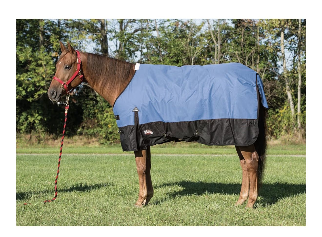Weaver Leather Economy Turnout Horse Blanket - Waterproof Ripstop- Polyester Fiber Fill, 1200D Color: Dazzling Blue Size: 75" 1,200-denier ripstop