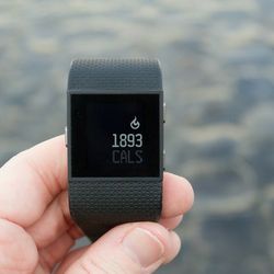 Like New Fitbit Surge Fitness Tracker And Smartwatch