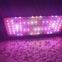 1200w Led Plant Grow Light