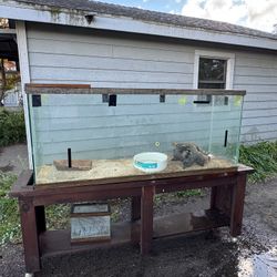 5 Foot Glass Aquarium