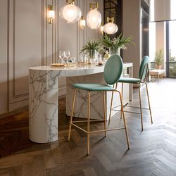 Odessa Green & Gold Counter Stool (Set of 2)