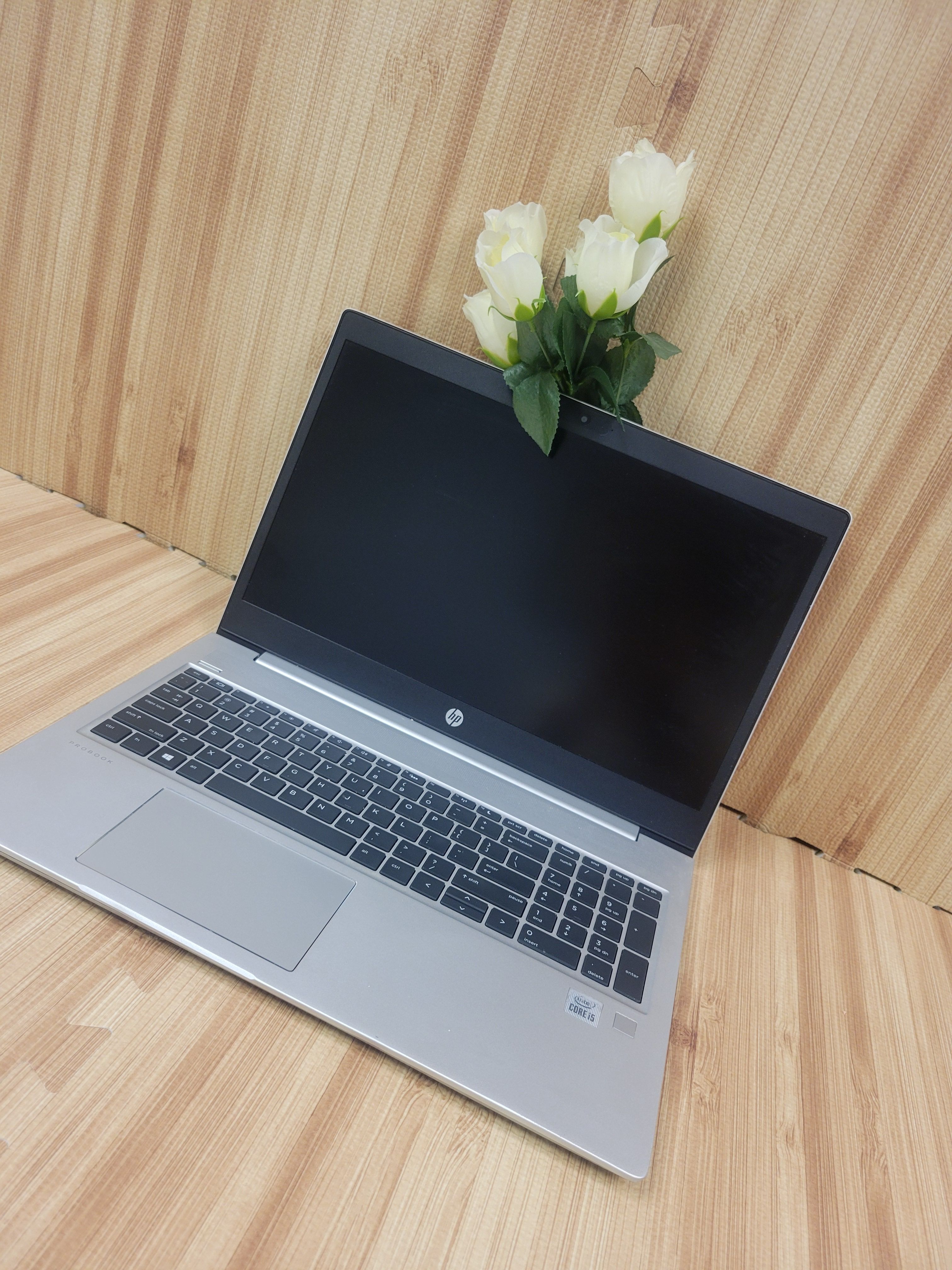 HP ProBook 450 G7