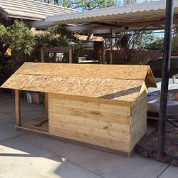 Dog House 