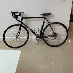 Vintage aluminum TREK ROAD BIKE