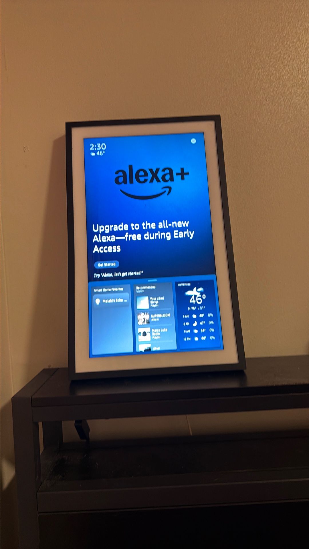 Alexa Echo