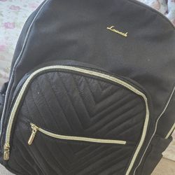 Large Diaper Bag Or Everyday Use 